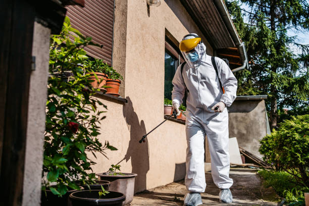 Best Best Pest Control Near Me  in Chamberlain, SD