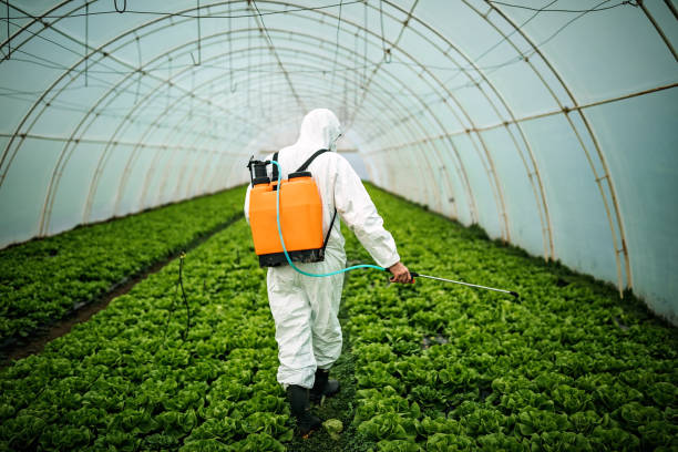 Best Mosquito Control Services  in Chamberlain, SD