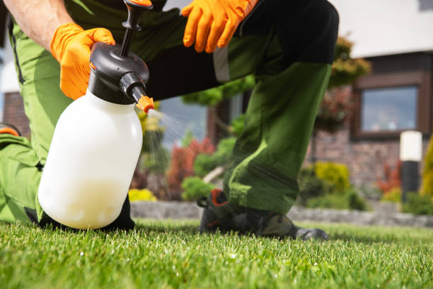Best Ant Control Services  in Chamberlain, SD