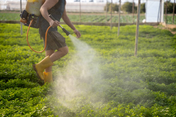 Best Best Pest Control Companies  in Chamberlain, SD