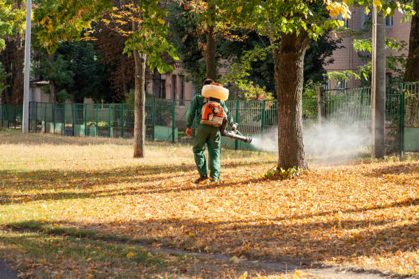 Best Local Pest Control Services  in Chamberlain, SD