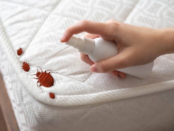 Best Affordable Pest Control Services  in Chamberlain, SD