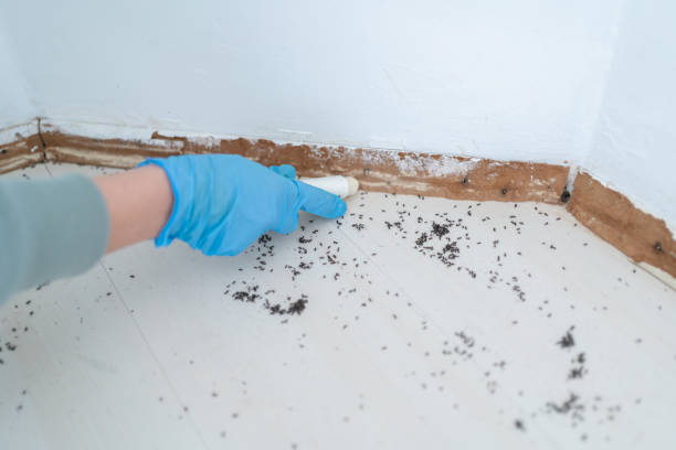 Best Pest Prevention Services  in Chamberlain, SD